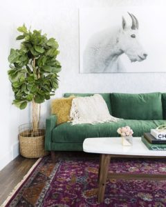 Green sofa in Eclectic Room